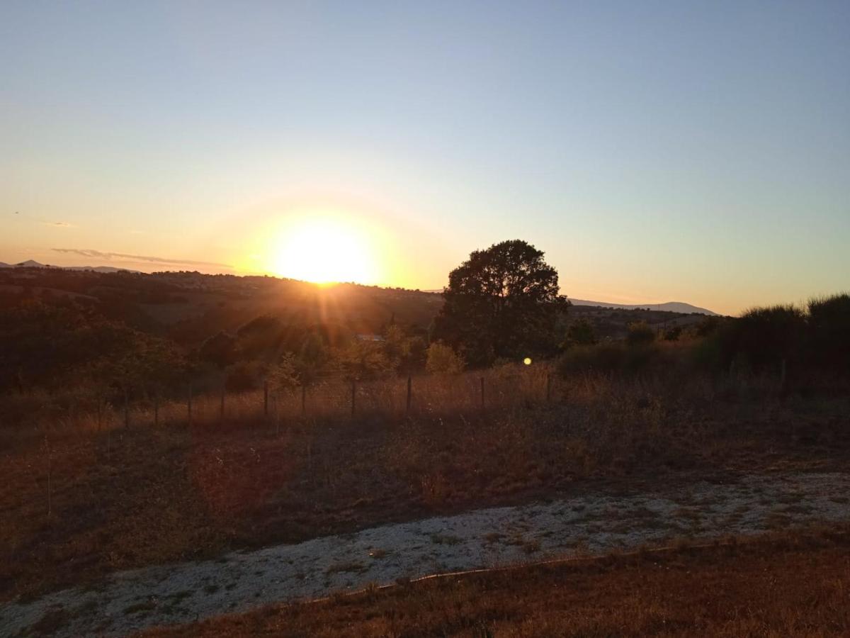 Agriturismo Il Cielo In Terra Sant'Oreste 外观 照片