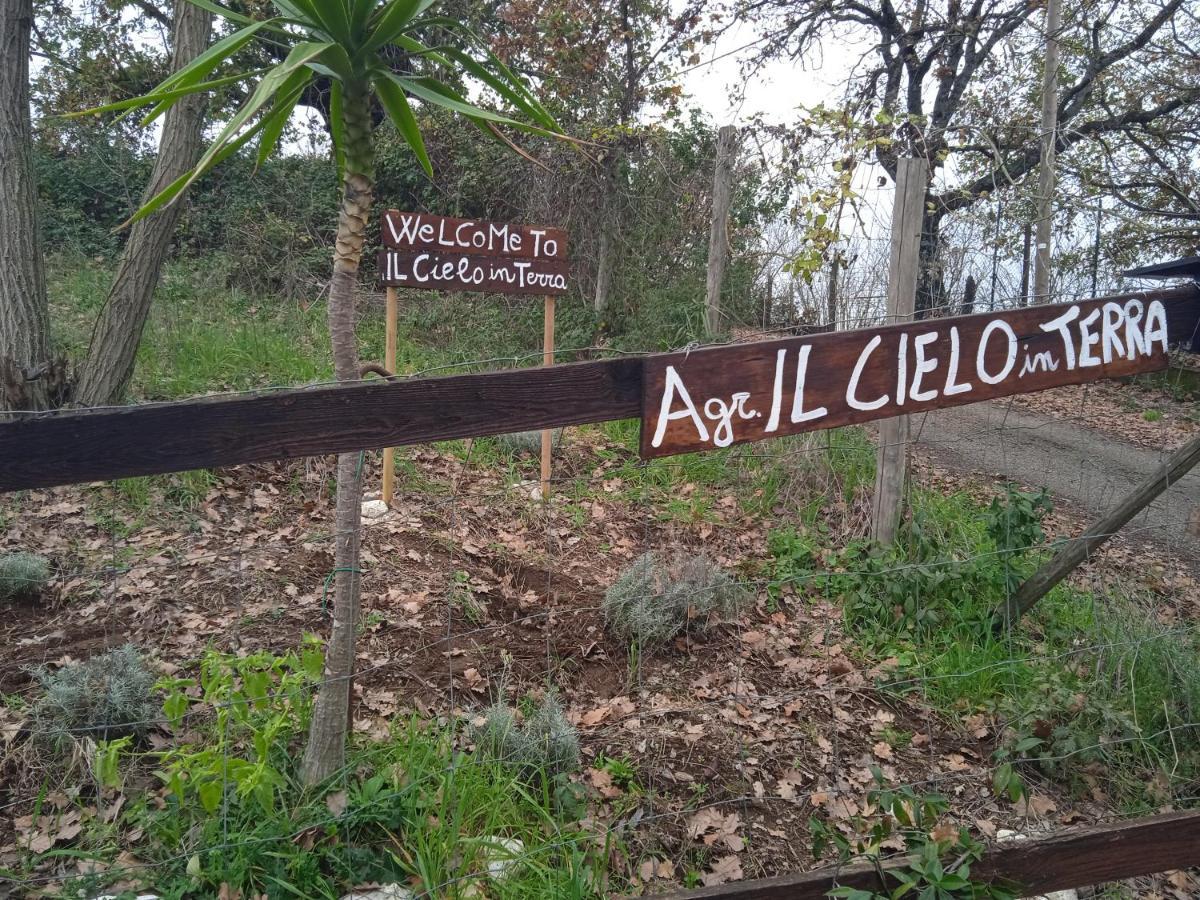 Agriturismo Il Cielo In Terra Sant'Oreste 外观 照片