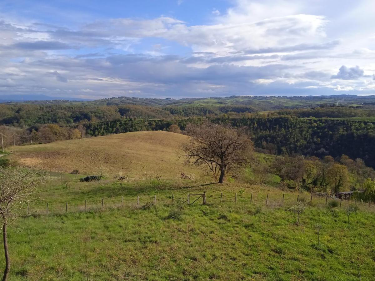 Agriturismo Il Cielo In Terra Sant'Oreste 外观 照片